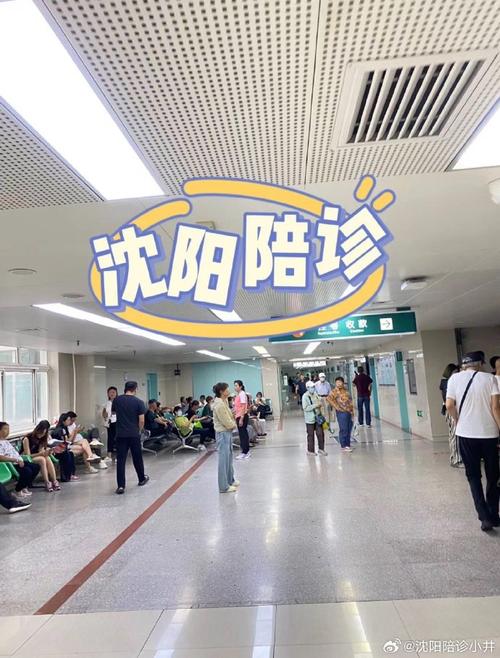 #沈阳陪诊##中国医科大学附属盛京医院##中国医科大学附属第一医院#