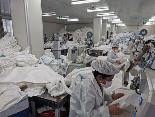 山东省日照市委书记张惠代表 加快完善健康服务体系 以健康日照建设普惠民生