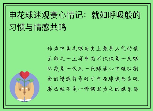 申花球迷观赛心情记:就如呼吸般的习惯与情感共鸣